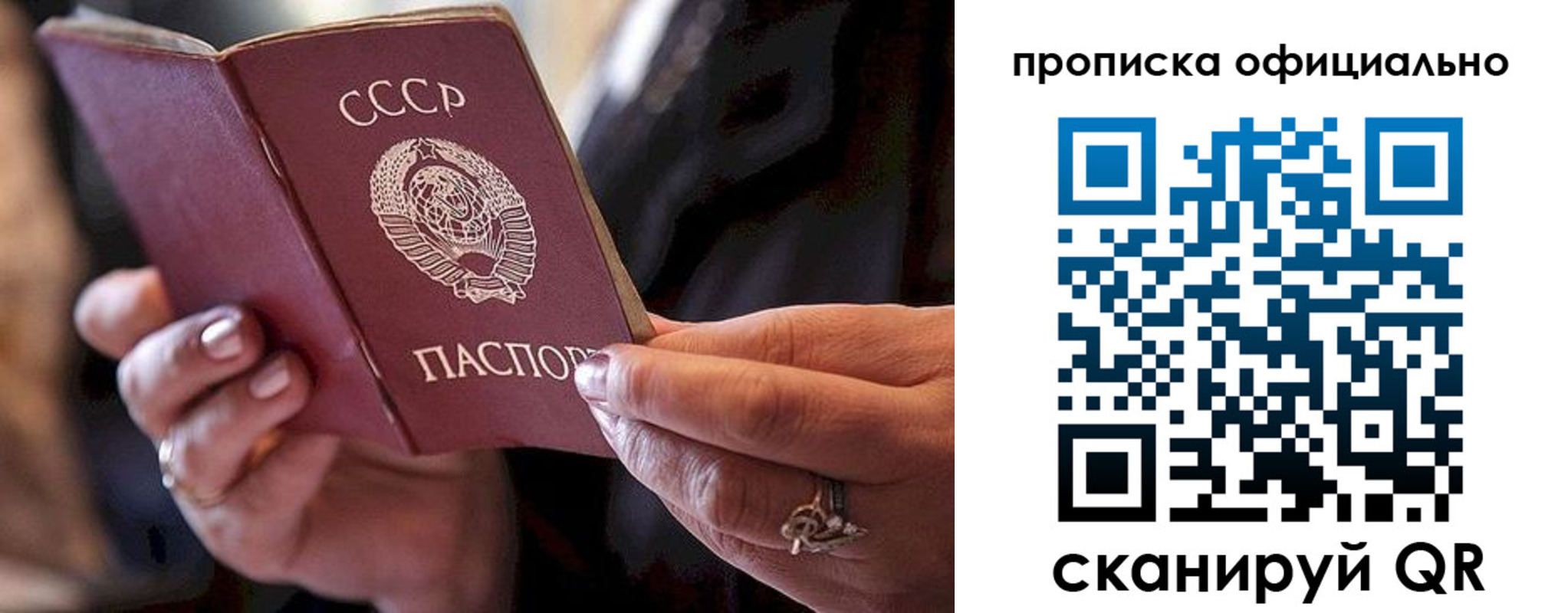 прописка в Мончегорске